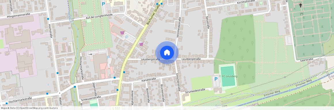 Leusbergstraße 21, 45663 Recklinghausen