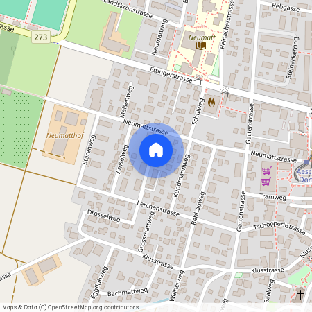 4147, Aesch, Neumattstrasse, 29