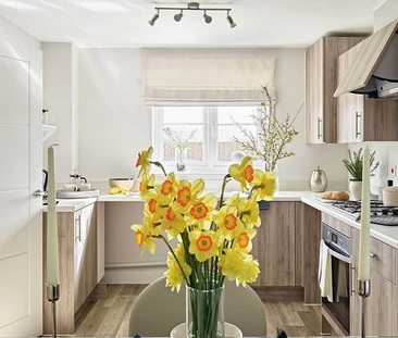 2 bedroom semi-detached house to rent - Photo 6