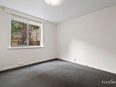 2/146 Riversdale Road, Hawthorn VIC 3122 - Apartment For Rent | Domain - Photo 5