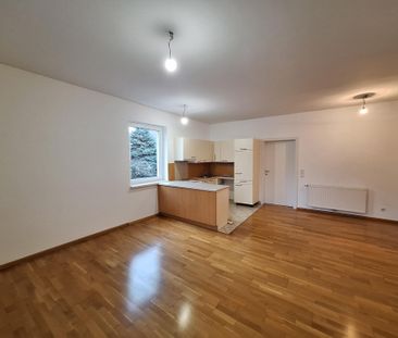 Sonnige 3-Zimmer Wohnung in der Sophiengutstraße 31 / Froschberg - Foto 6