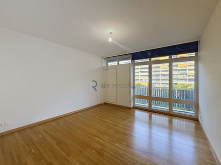 En exclusivité ! Appartement traversant avec terrasse - Photo 3