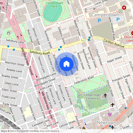 39 Hopetoun Street, Camperdown NSW 2050