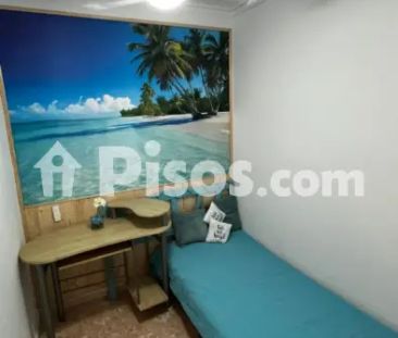 Casa en alquiler en Carolinas - Photo 5