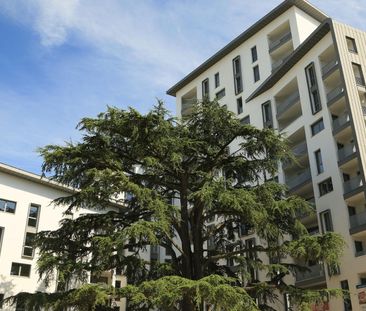 location Appartement T4 DE 79.9m² À MASSY - Photo 6