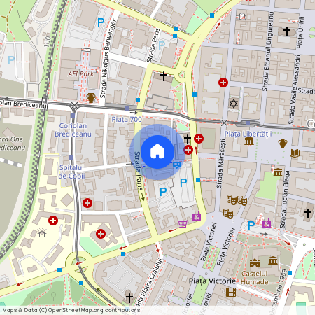Timis, Timisoara