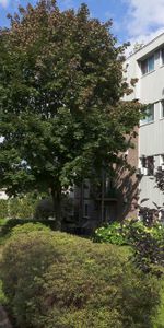 4 1/2 Vanier -ascenseur- proche des commodités- libre immédiatemment - Photo 3