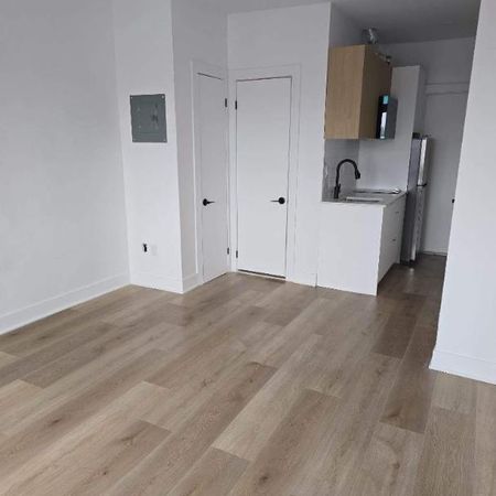 1 CH - 1 SDB - Montréal - $1,190 /mo - Photo 3