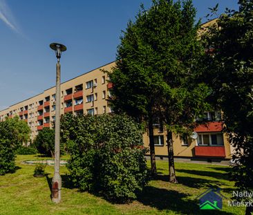 Brzeszcze - Zdjęcie 1