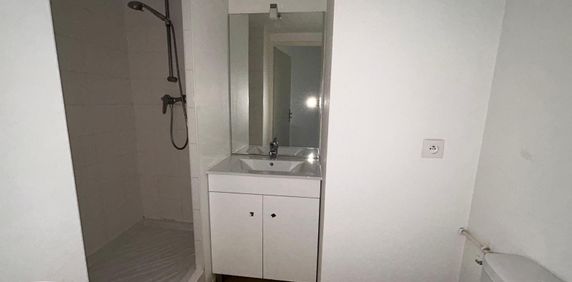 Location Appartement 1 pièce 19m² TOURS 37000 - Photo 2