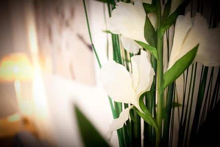 Immobilien - Photo 2