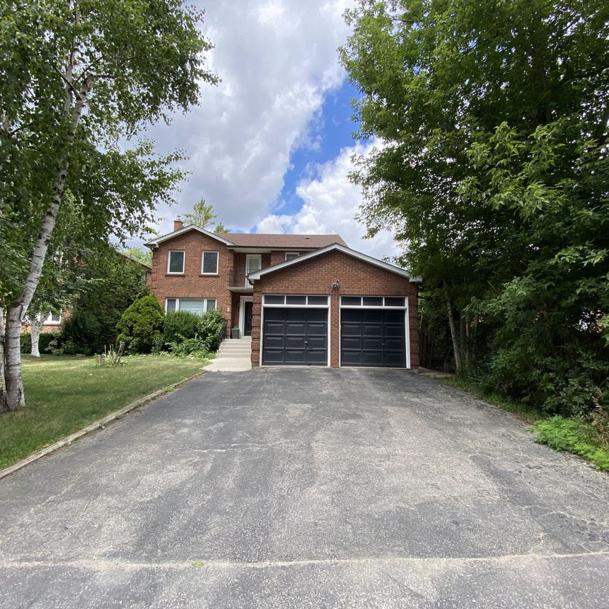 For Lease - 2 Westwood Lane Unit# Bsmt unit, Richmond Hill, Ontario - Photo 1