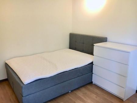 Simon #1 - Experience 60's Charm in Zürich's Green Oasis - Photo 4