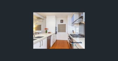 Queenslander With Leafy Surrounds - Photo 3