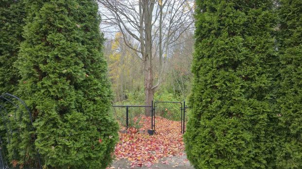 For Lease - 1816 Woodgate Court, Oshawa, Ontario - Photo 1