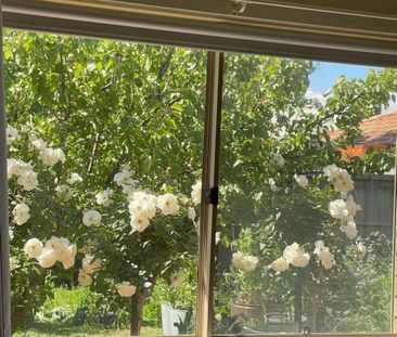 Point Cook - Photo 2