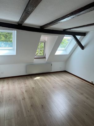 Charmant 2 pièces au Cœur des Facultés de Strasbourg - Photo 1