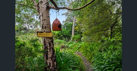 Private treehouse in the heart of the hills - Photo 4