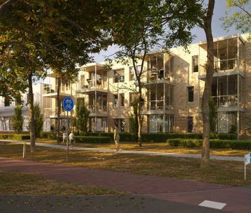 Broekhoek - Photo 4
