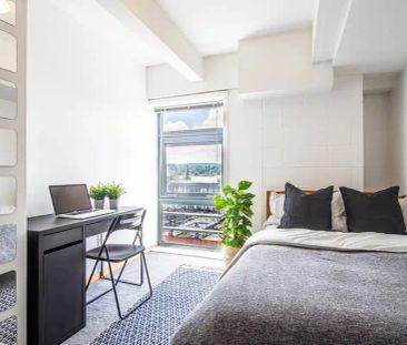 7 Bedroom Apartment - Photo 6