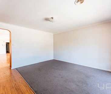 Cosy & Central Living! - Photo 1