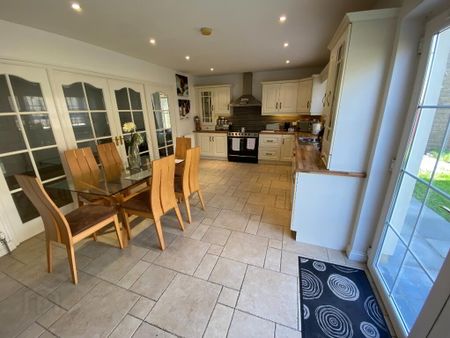 6 MONTH RENTAL, 1 Strangford Park, Downpatrick, BT30 6WQ - Photo 3