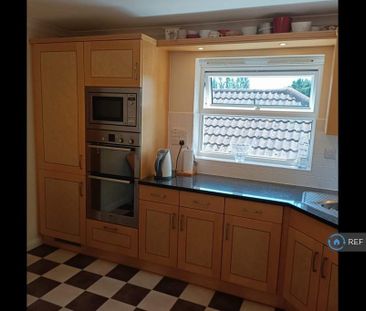 3 bedroom penthouse to rent - Photo 5