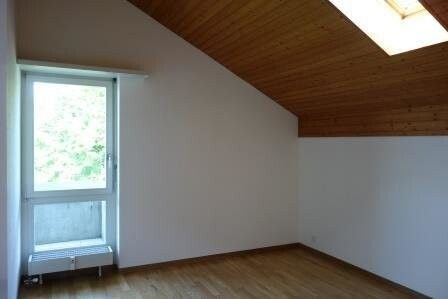 Dachwohnung sucht Single! - Photo 1