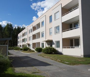 Dirigentvägen, Skellefteå - Photo 4