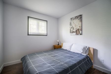 Rue L. J. Papineau - Photo 4