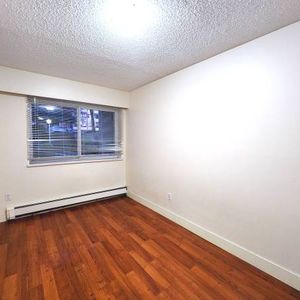 New Westminster 1 bedroom apartment available on February 1st - Photo 2