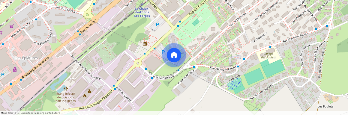 Chemin Albert-Monard 4, 2300 La Chaux-de-Fonds