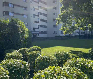 Modern & frisch saniert: 3 Zimmer in ruhiger Lage in Marienfelde! - Photo 3