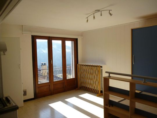 Location Appartement 1 pièce 25m² ONNION 74490 - Photo 1