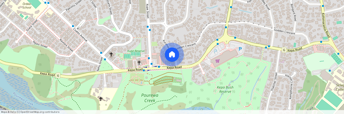 8 Kurahaupo Street, Orakei, Auckland City