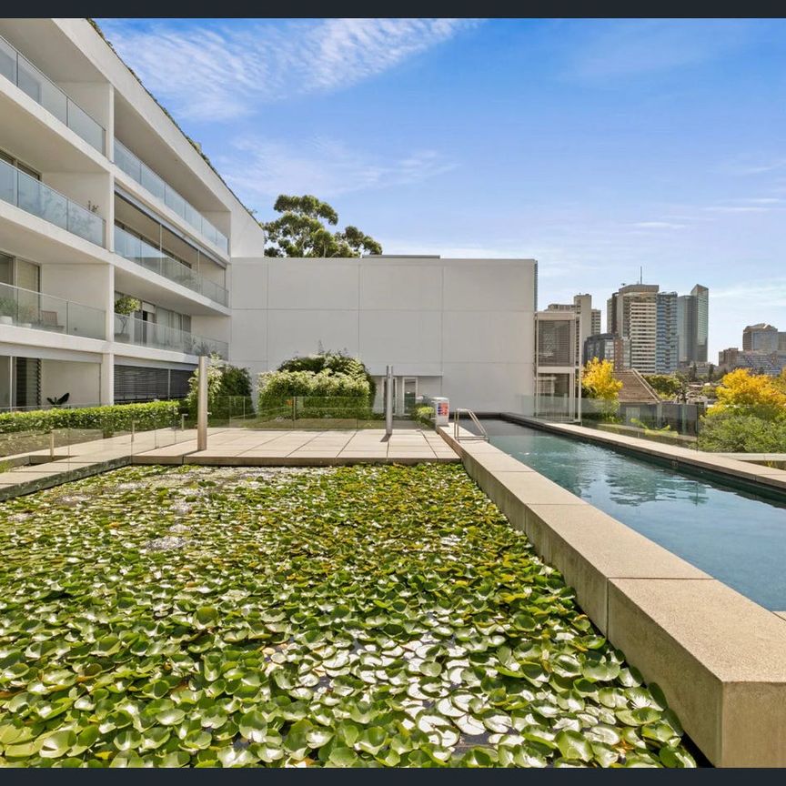 530/50 Burton Street, Darlinghurst, NSW 2010 - Photo 1