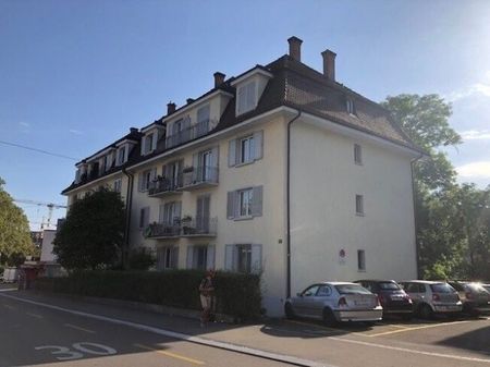 Grand appartement au pied de l’Uetliberg - Photo 4