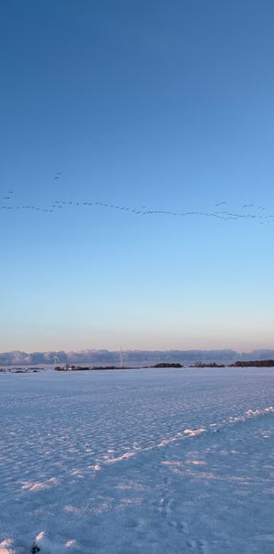 Viderupsvägen, Flyinge - Foto 1