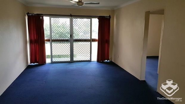 Pet friendly UNIT IN CENTRAL INDOOROOPILLY - Photo 1