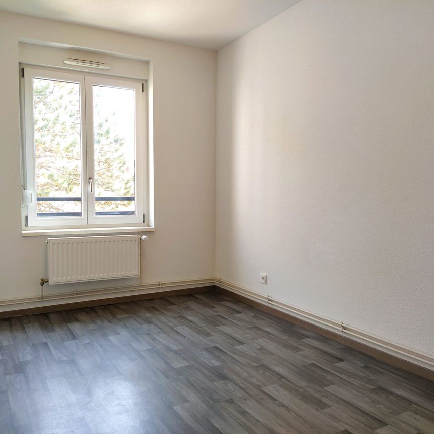 Un charmant 2 pièces en très bon état – Neudorf / rue Saint-Aloïse - Photo 1