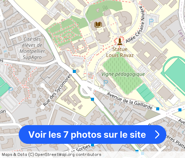 COLOCATION ETUDIANTE / MONTPELLIER / PROCHE FACS /1 CHAMBRE DE DISPO - Photo 1