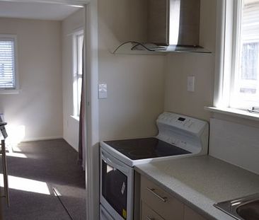 Tidy and Sunny Studio Unit - Photo 3