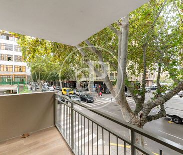 Luxury apartment for rent in the centre of Palma - Photo 2