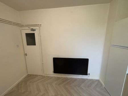 Red Lane, Paradise - Photo 5