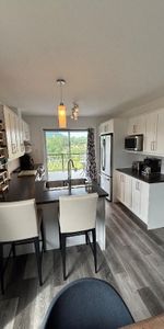 Logement 4 1/2 très lumineux à Mont Tremblant - Photo 3