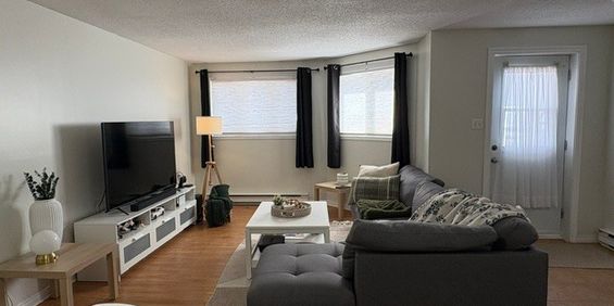 4 1/2 Gatineau - Grand Demi Sous-sol - Photo 3