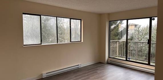 MARCH 2025 1-Bedroom Fully Renovated close to SkyTrain (Lougheed) - Photo 2