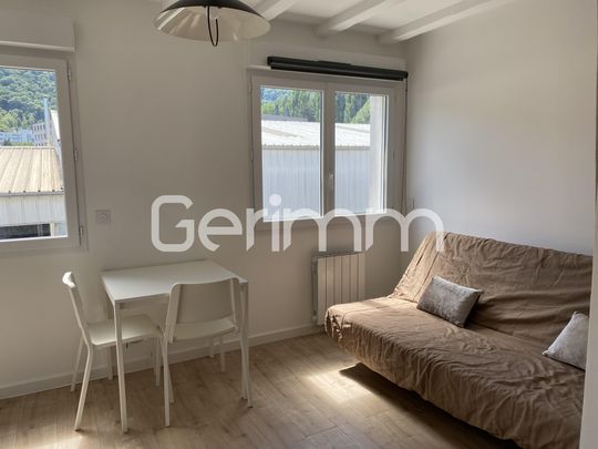 Location Appartement 1 pièce 16,17 m² - Photo 1