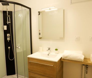 Location Appartement 2 pièces Meublé 27m² NIORT 79000 - Photo 2