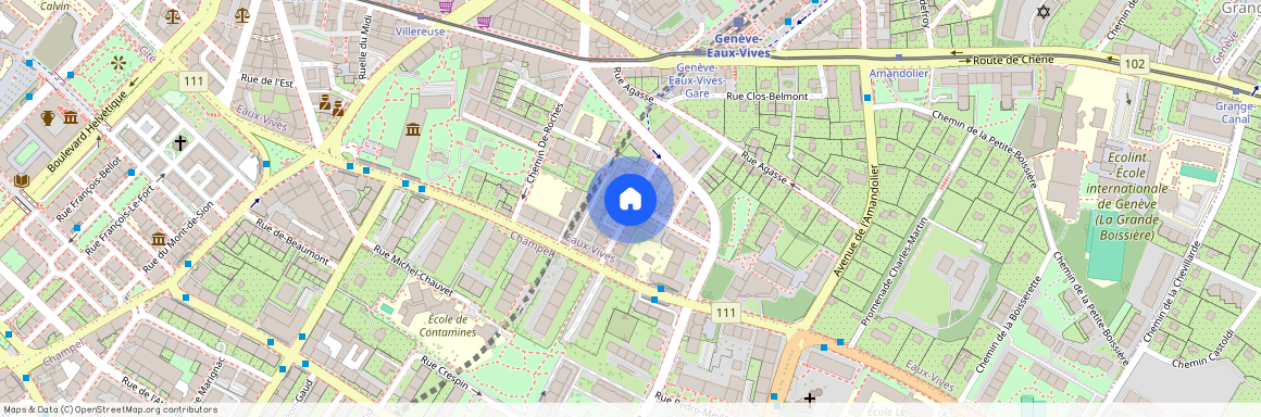 rue Henri-Mussard, 1208 Genève